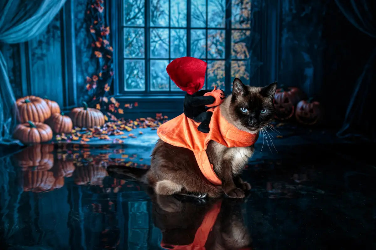 Kate Halloween Gothic Arched Window Curtains Backdrop Designed by Emetselch