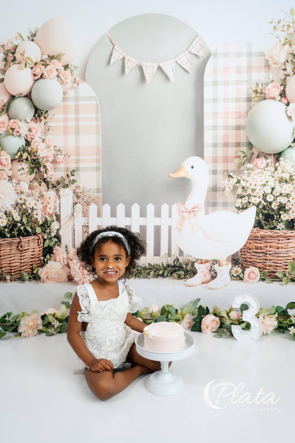 Kate Cake Smash Silly Goose Flower Arch Plaid Balloons Picket Fence Printed Backdrop Designed by Emetselch
