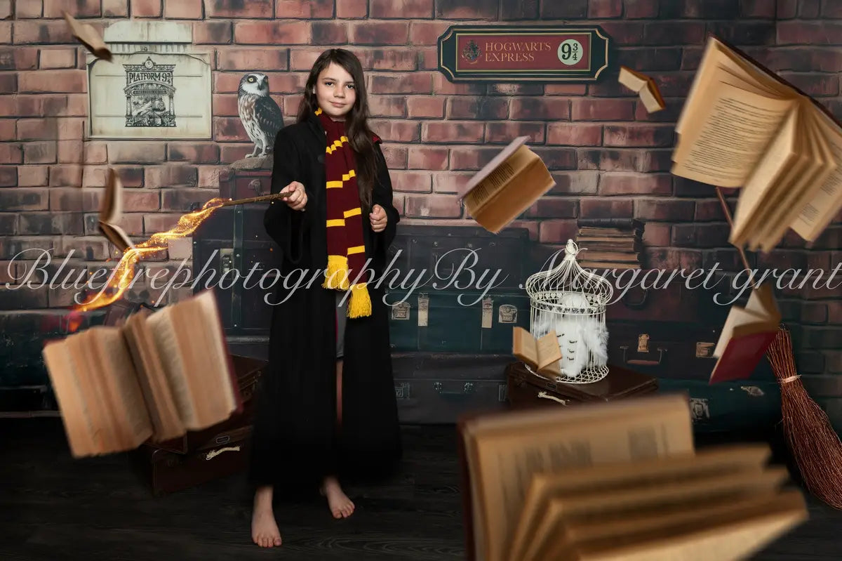 Kate Fantasy Magic Platform Owl Brick Backdrop Designed by Patty Roberts