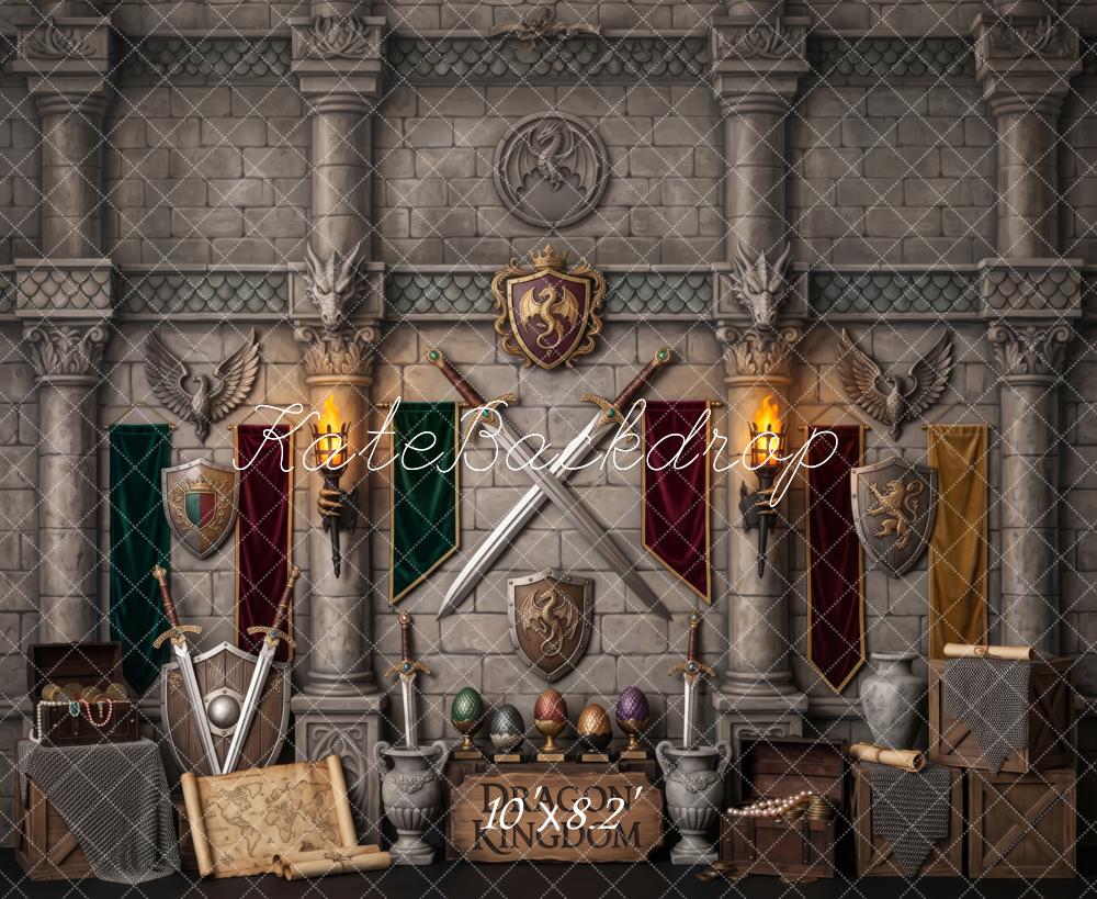 Kate Fantasy Dragon Kingdom CastleTreasure Boys Printed Backdrop Designed by Patty Roberts