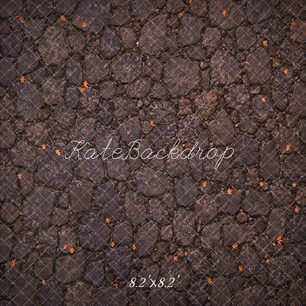 Kate Fall Dark Gray Cobblestone Fallen Leaves Floor Printed Backdrop Designed by Kate Image