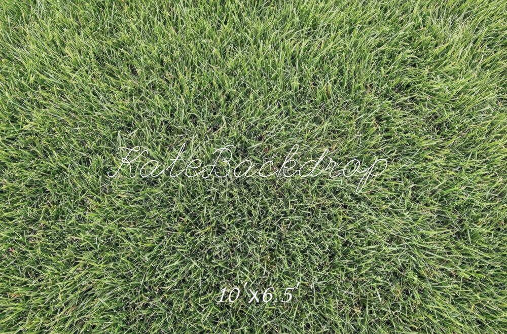 Kate Green Grass Texture Floor Backdrop Designed by Mini MakeBelieve