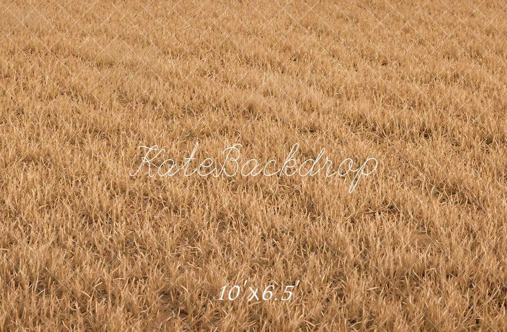 Kate Fall Withered Grass Field Floor Printed Backdrop Designed by Kate Image