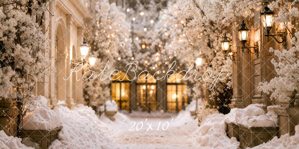 Kate Winter Snowy Cherry Blossom Alley Lanterns Printed Backdrop Designed by Emetselch