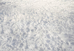 Fondo de Suelo de Textura de Nieve Invernal Diseñado por Emetselch