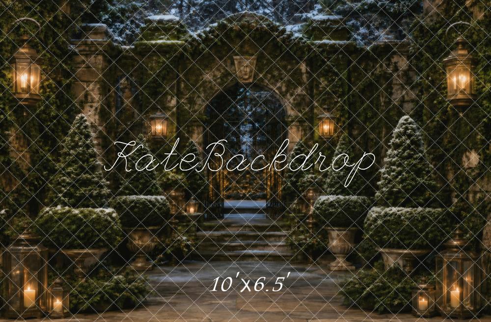 Kate Christmas Winter Retro Stone Arch Garden Lanterns Printed Backdrop Designed by Vertigo Productions