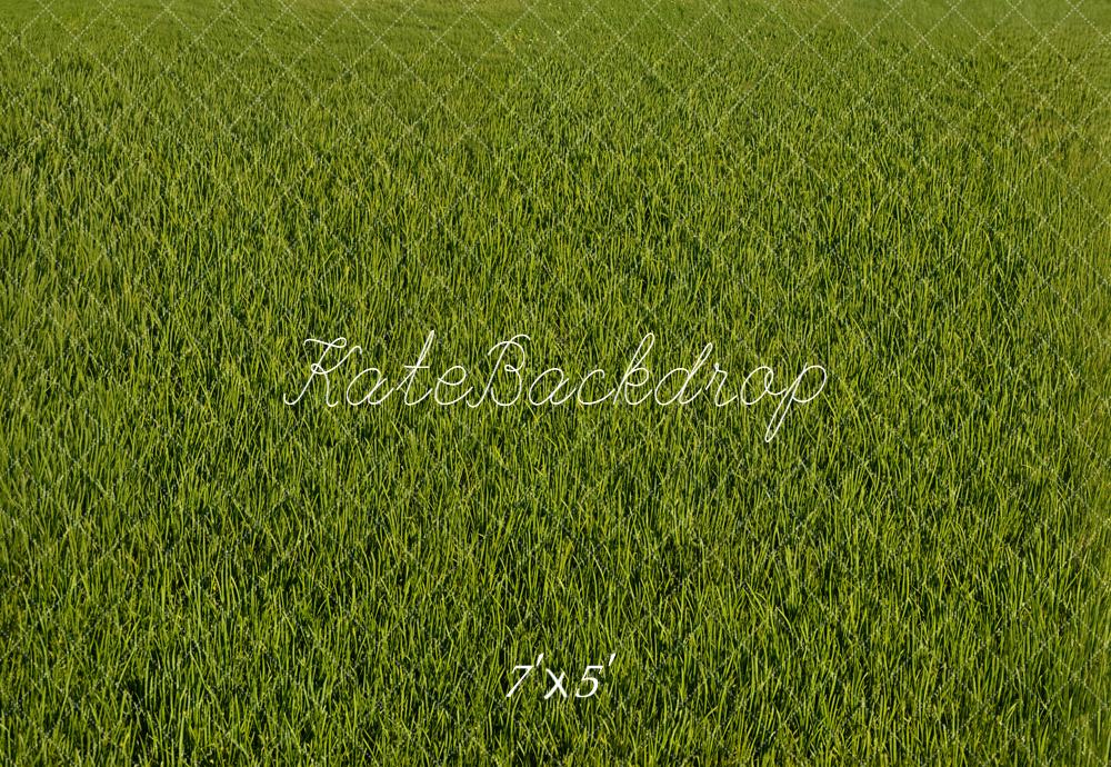 Kate Green Grass Field Floor Backdrop Designed by Emetselch