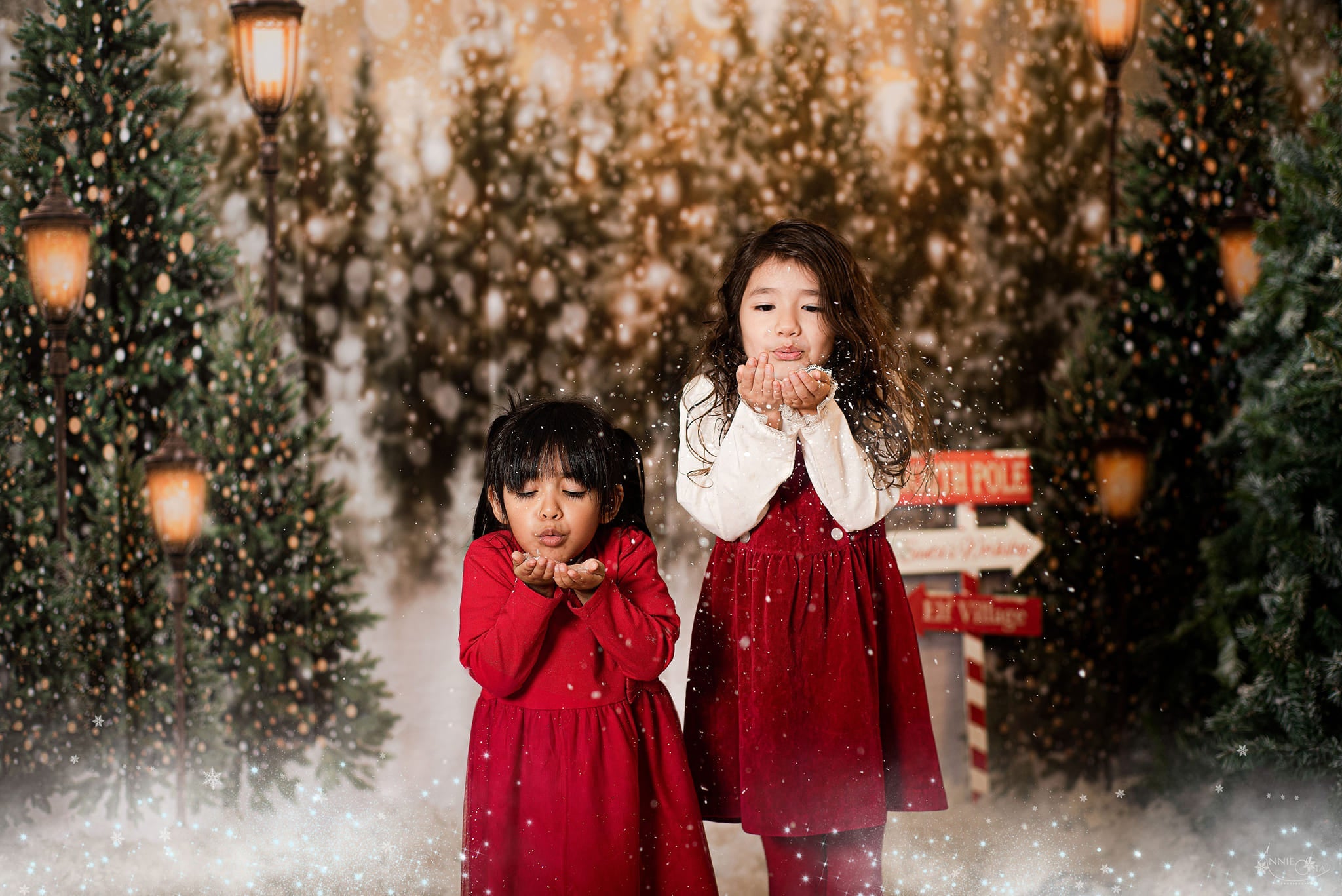 Bosque de nieve navideño con luces de fondo de forro polar para fotografía