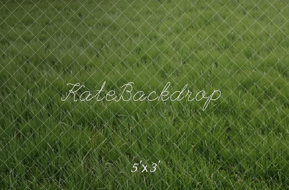 Kate Green Grass Field Floor Printed Backdrop Designed by Kate Image