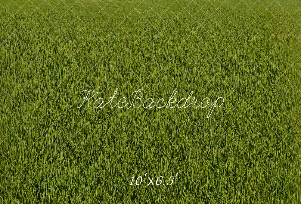 Kate Green Grass Field Floor Backdrop Designed by Emetselch