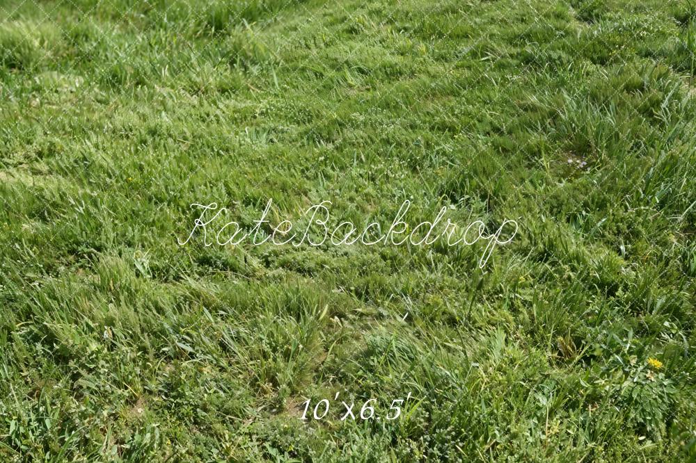 Kate Green Grass Field Printed Backdrop Designed by Kate Image