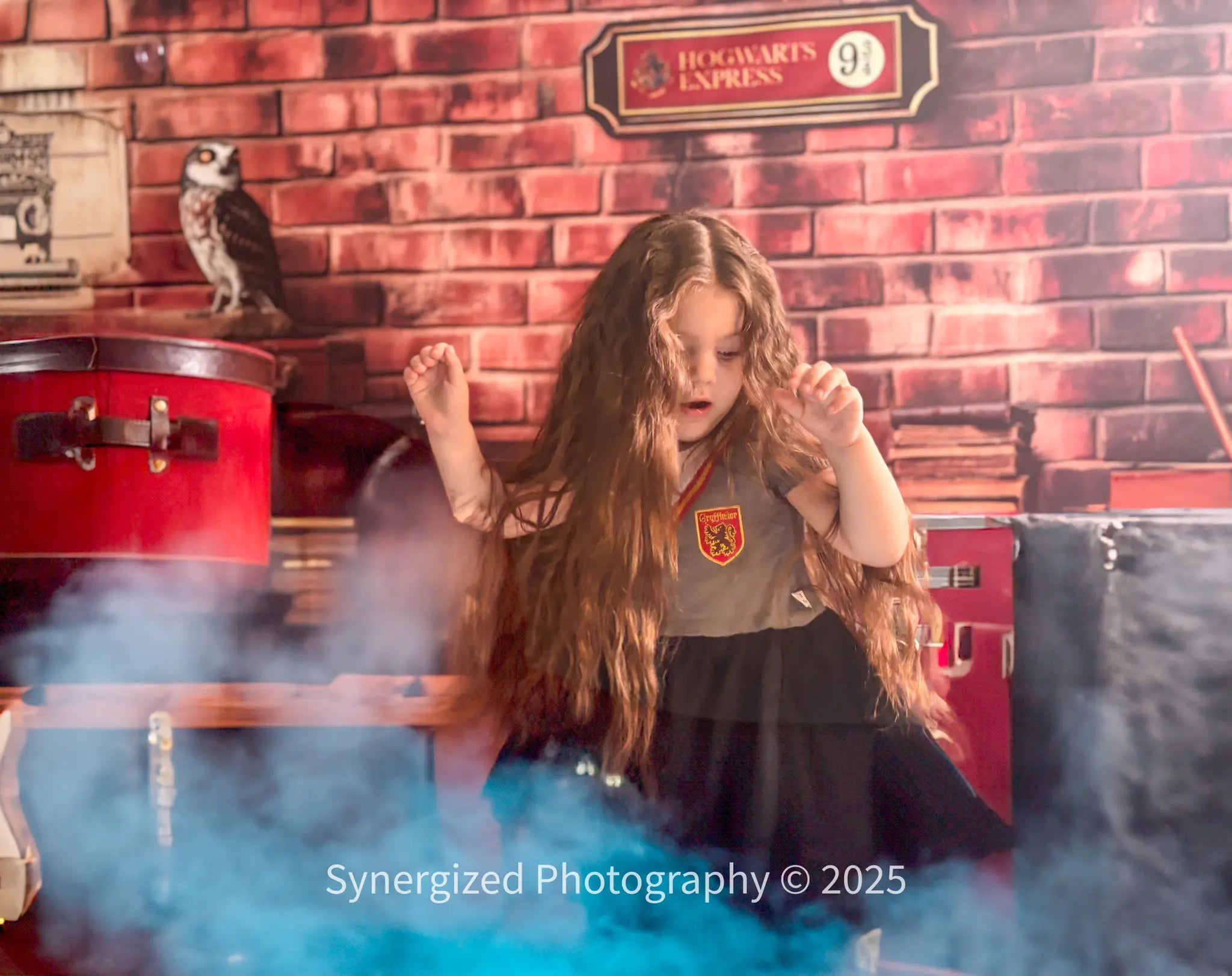 Kate Fantasy Magic Platform Owl Brick Backdrop Designed by Patty Roberts