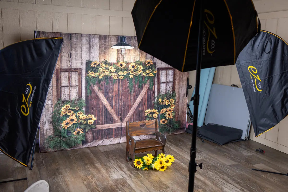 Zomer Zonnebloem Houten Deur Foto Achtergrond Ontworpen door Emetselch