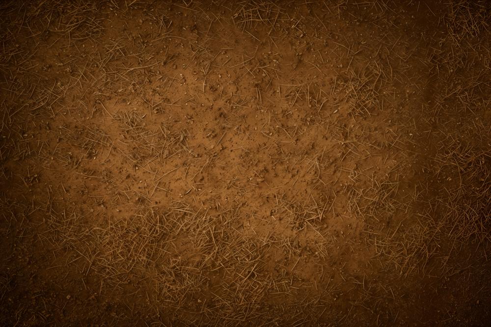 Kate Abstract Brown Dirt Ground Texture Floor Backdrop Designed by Emetselch