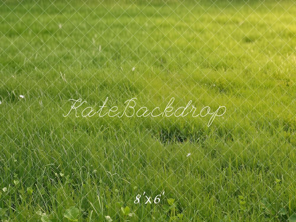 Kate Summer Green Grass Field Printed Backdrop Designed by Emetselch
