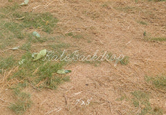 Kate Rustic Earthy Grass Floor Printed Backdrop Designed by Kate Image