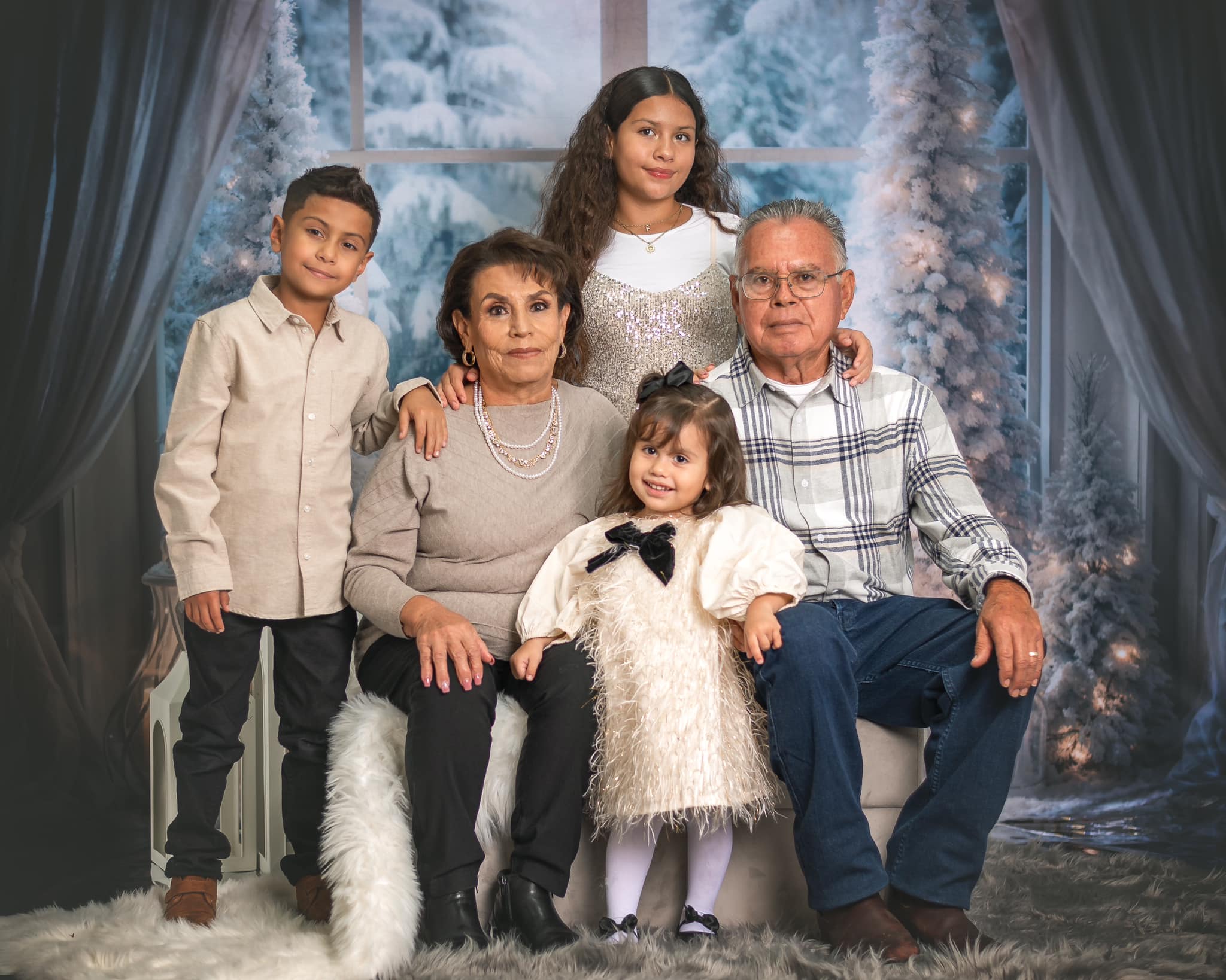 Árbol de Navidad de Invierno, Ventana Iluminada con Fondo de Tela Polar Diseñado por Emetselch.