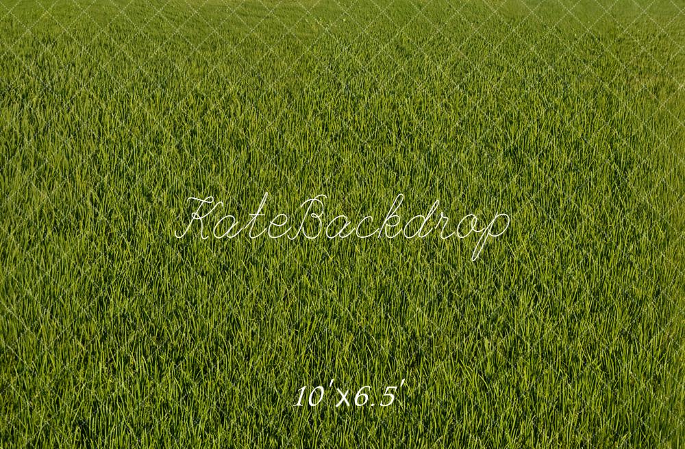 Kate Green Grass Field Floor Backdrop Designed by Emetselch