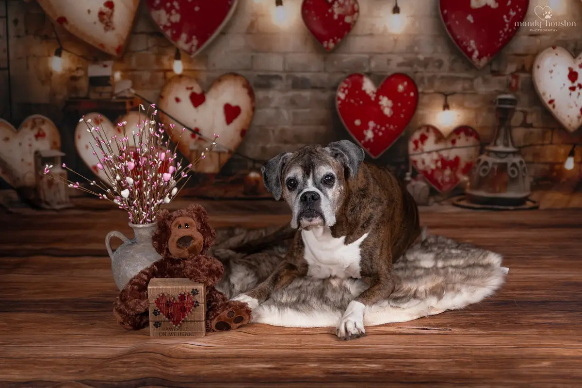 Kate Valentine's Day Industrial Sense Retro Lamp Wall Love Printed Backdrop Designed by Emetselch