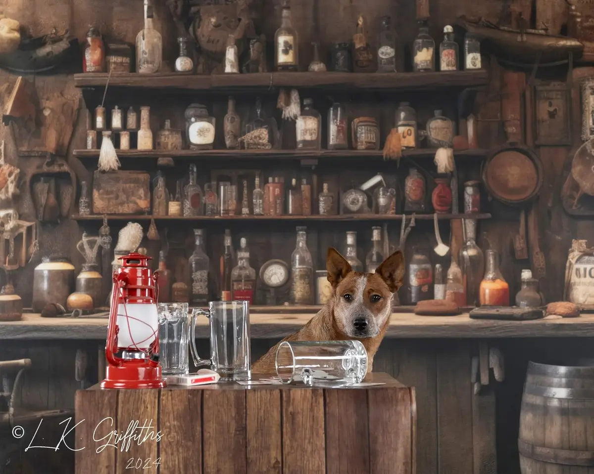 Oude Westerse Cowboy Saloon Muurachtergrond Ontworpen door Mandy Ringe Fotografie