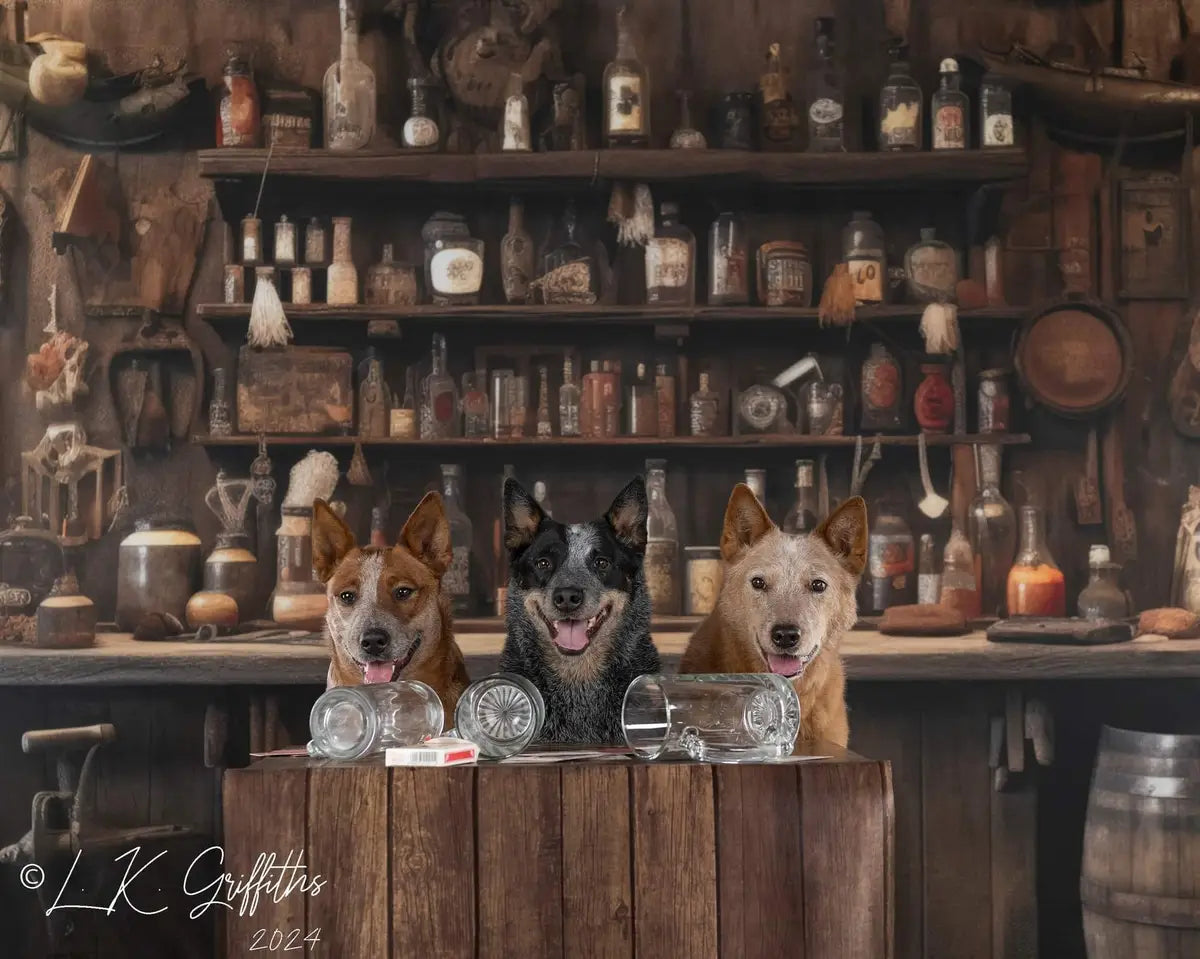 Oude Westerse Cowboy Saloon Muurachtergrond Ontworpen door Mandy Ringe Fotografie