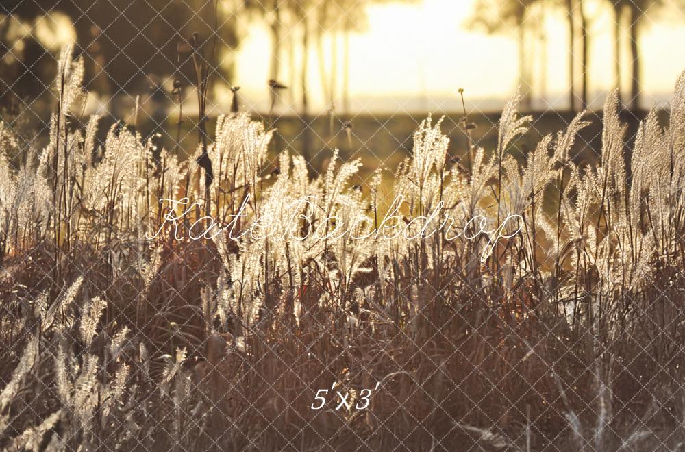 Kate Boho Outdoor Golden Sunset Field Backdrop Designed by Mandy Ringe Photography