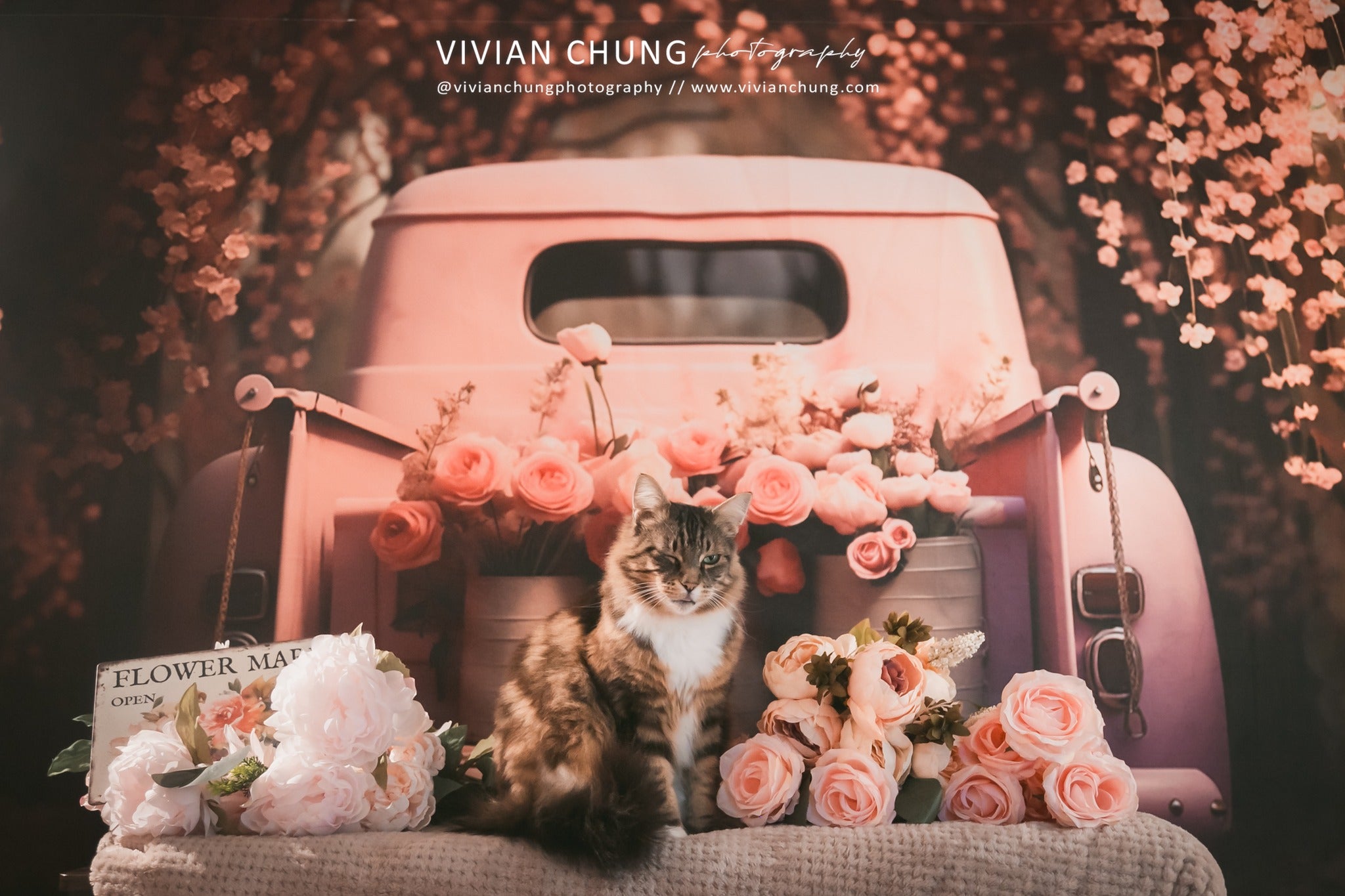 Valentine'sdag Roze Bloemen Vrachtwagen Foto Achtergrond Ontworpen door Chain Photography