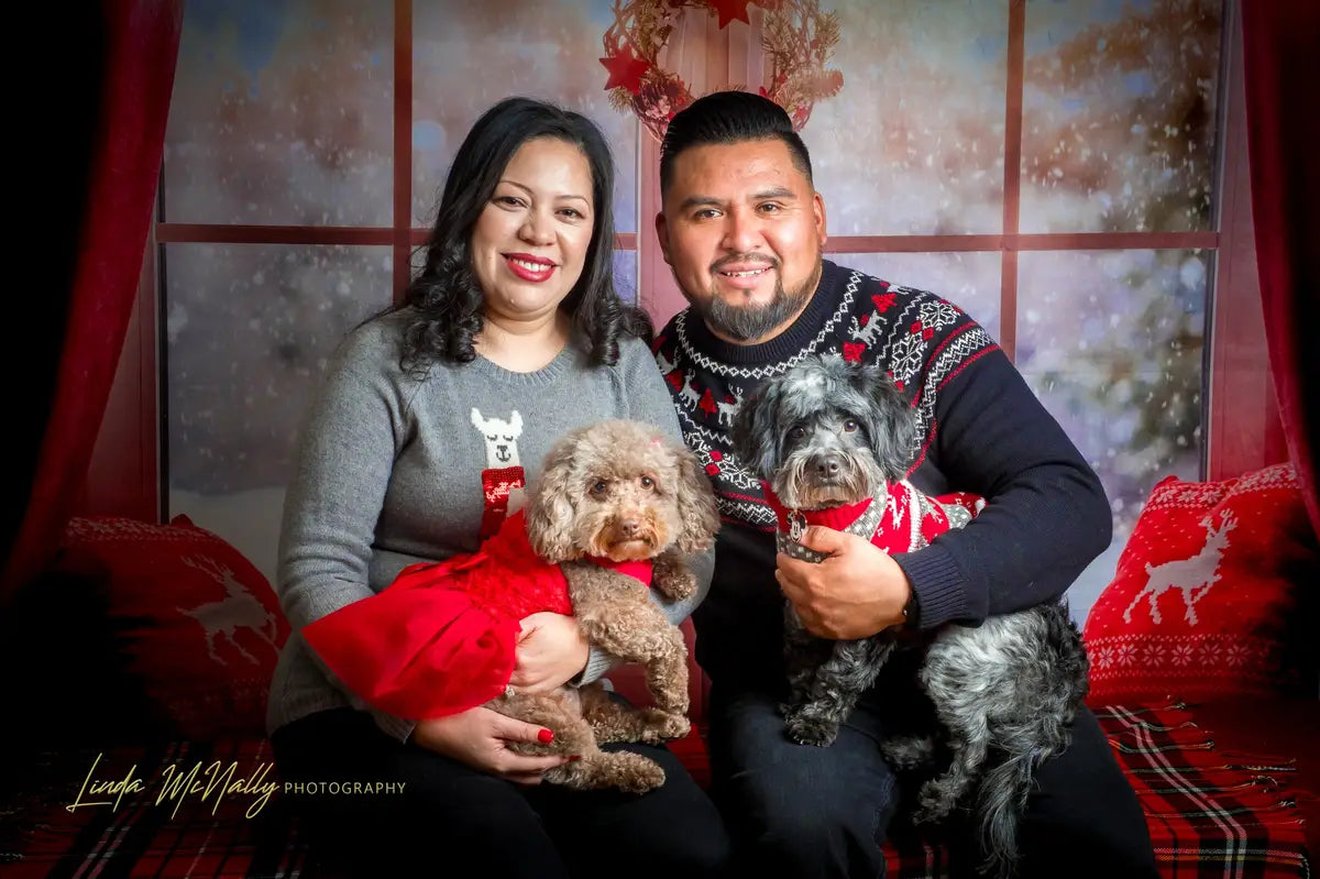 Kate Christmas Snow And Sunshine Outside Window Backdrops for Photography - Kate Backdrop