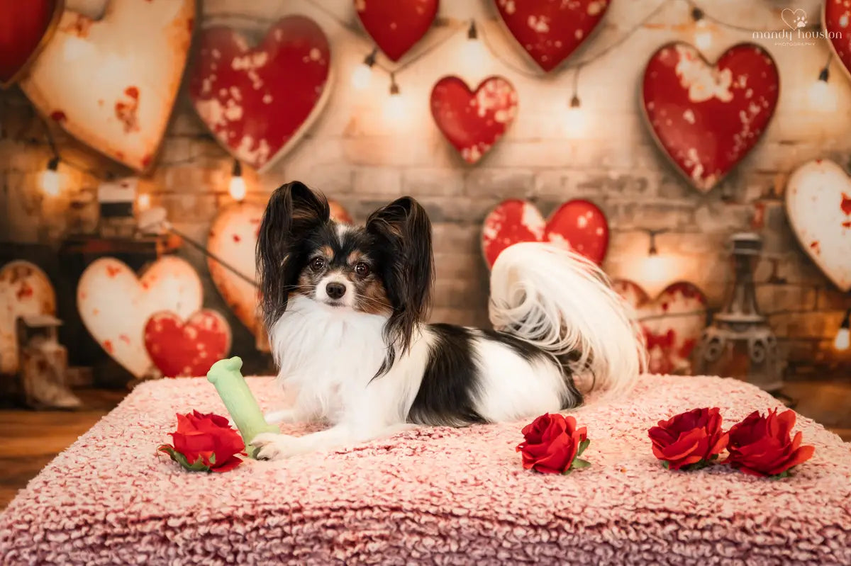 Kate Valentine's Day Industrial Sense Retro Lamp Wall Love Printed Backdrop Designed by Emetselch