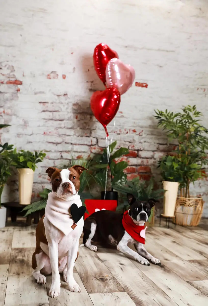 Kate Damaged Brick White Wall Backdrop for Photography Designed by Pine Park Collection - Kate Backdrop