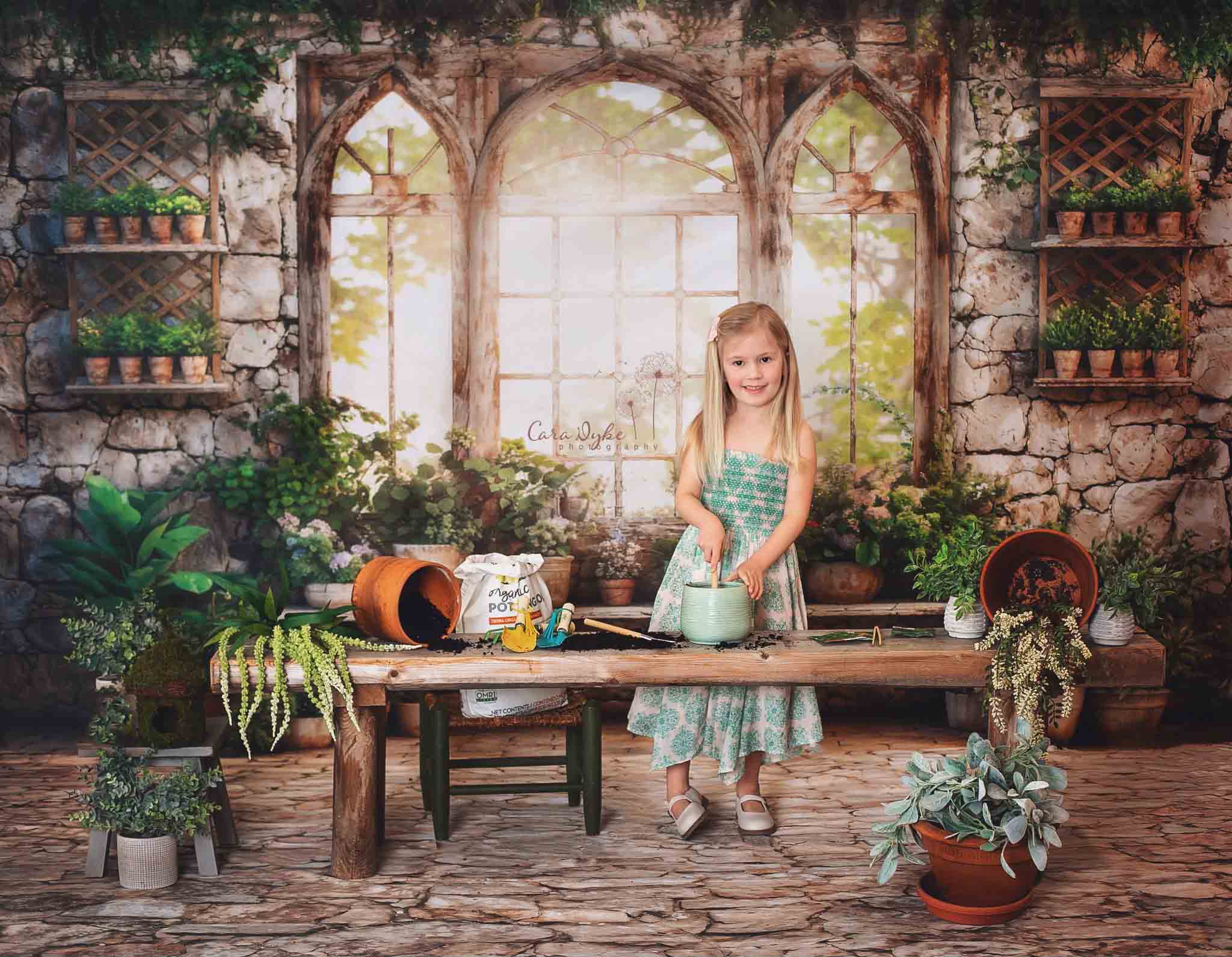 Piante verdi di primavera per finestra soleggiata sfondo realizzato da Catena Fotografica