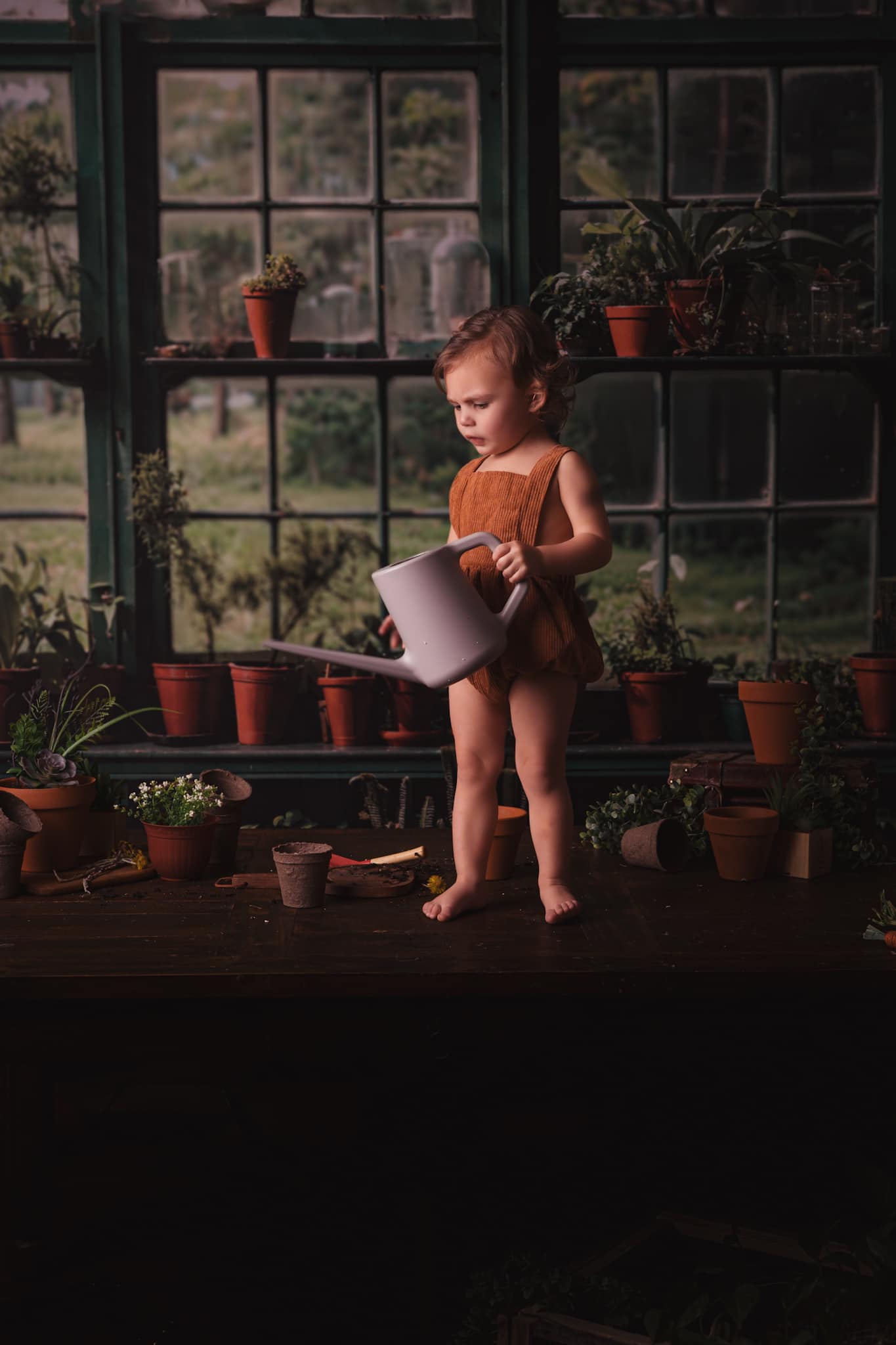 Lentegroene Planten Foto Achtergrond voor Raamruimte Ontworpen door Chain Photography