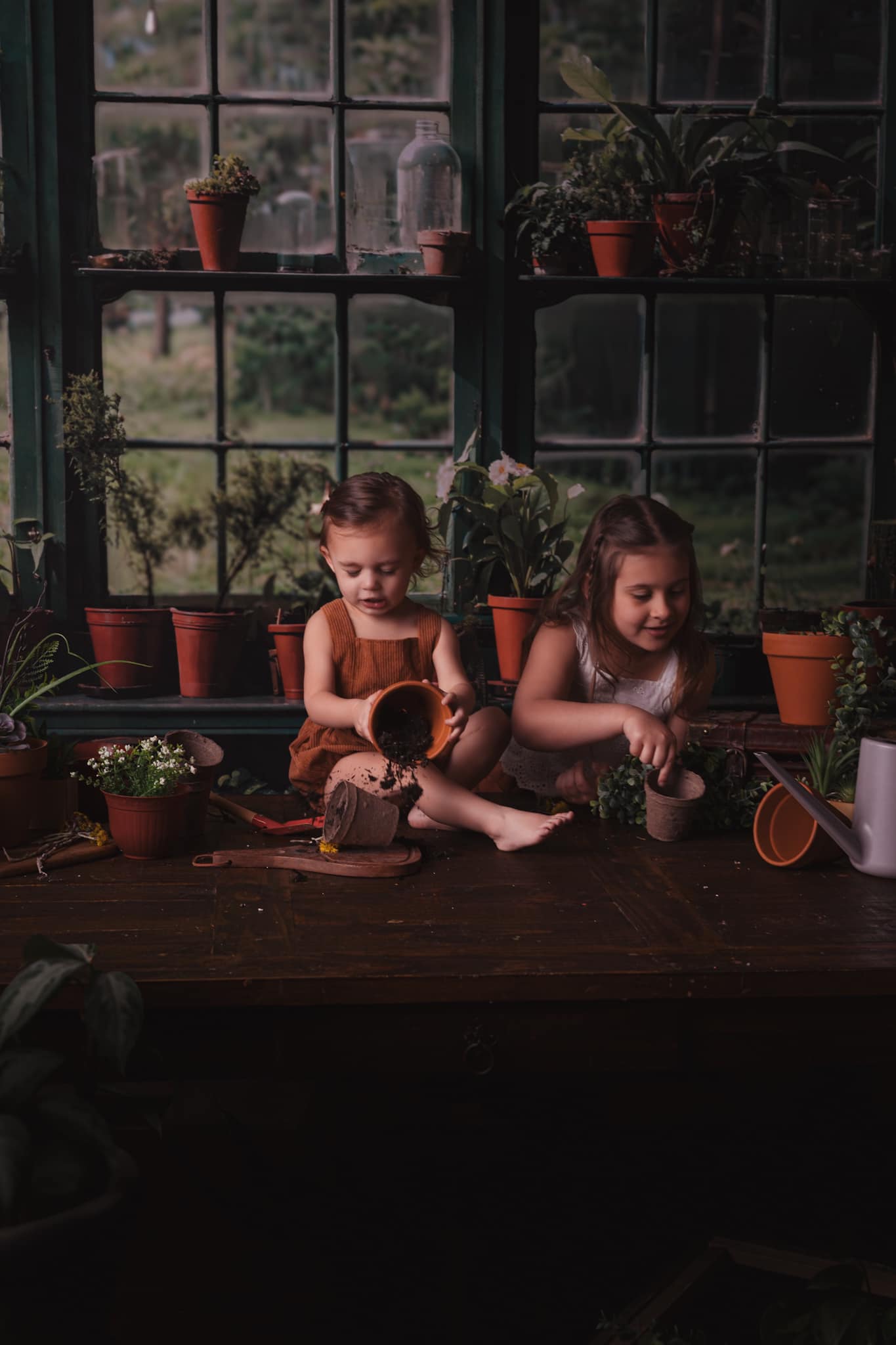 Lentegroene Planten Foto Achtergrond voor Raamruimte Ontworpen door Chain Photography