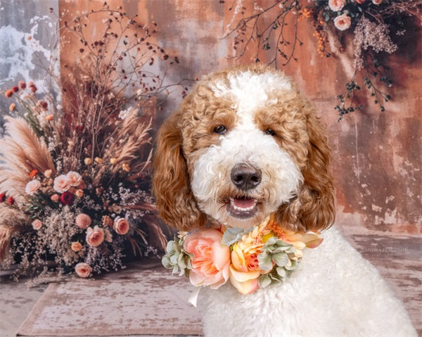 Kate Boho Mother's Day Dark Brown Reed Floral Old Brick Wall Backdrop Designed by Emetselch