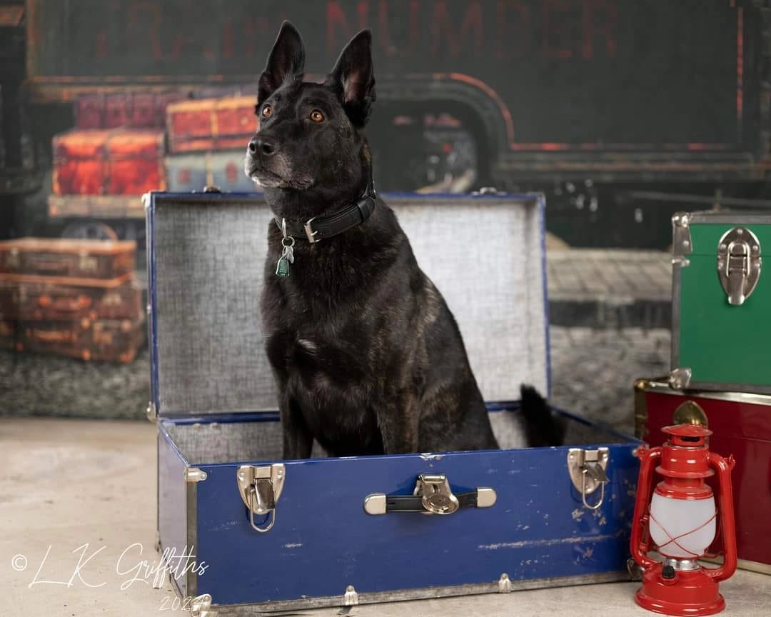 Kate Retro Station Backdrop Train for Photography