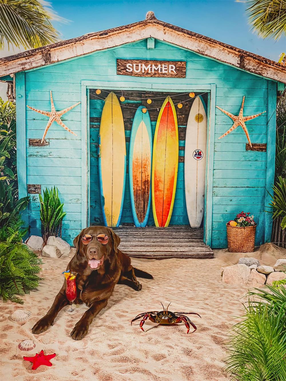 Kate Summer Surfboards Beach House Backdrop Designed by Chain Photography