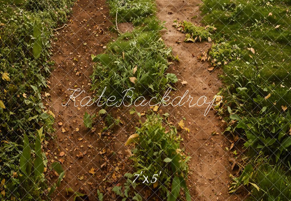 Forest Pad Groen Gras Vloer Foto Achtergrond Designed by Emetselch