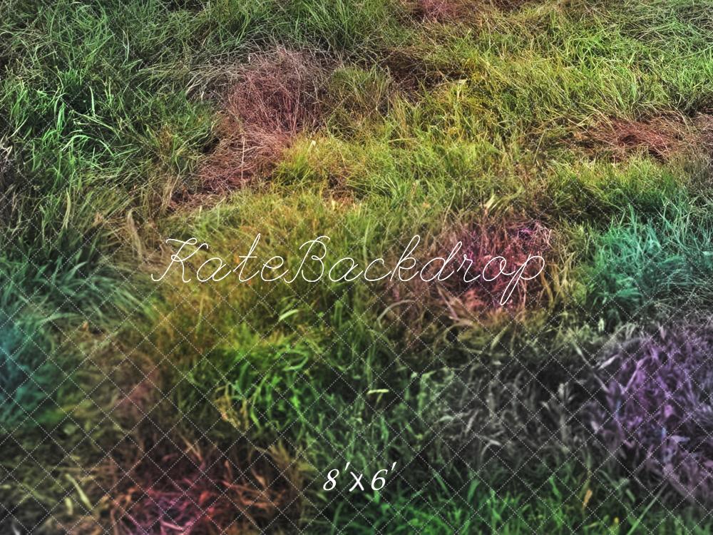 Kate Outdoor Rainbow Grass Floor Backdrop Designed by Mandy Ringe Photography