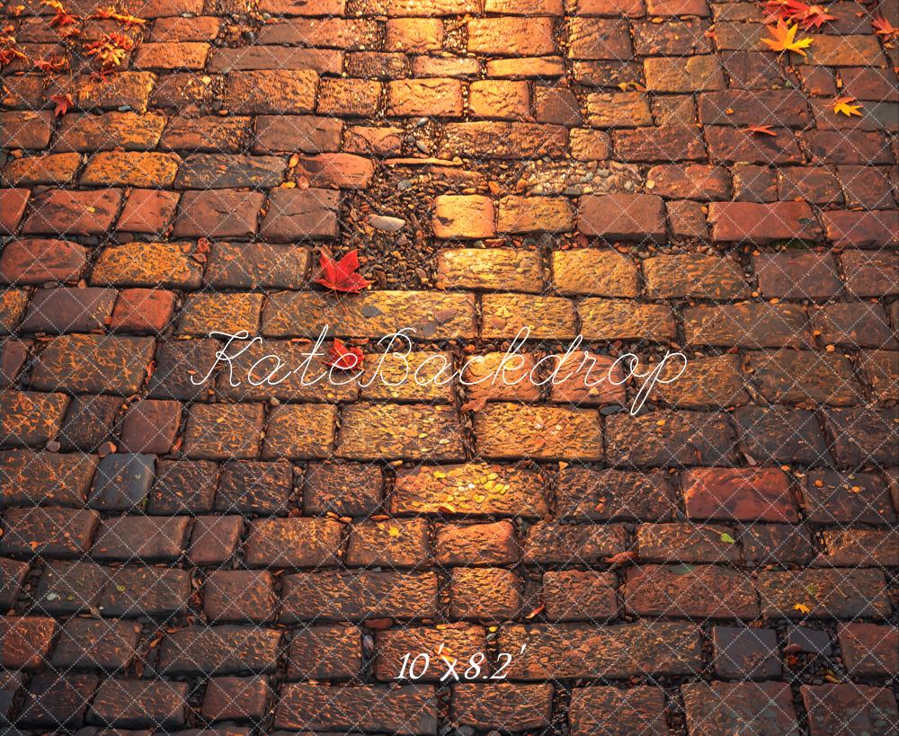 Fall Cobblestone Leaves Floor Backdrop Designed by Emetselch