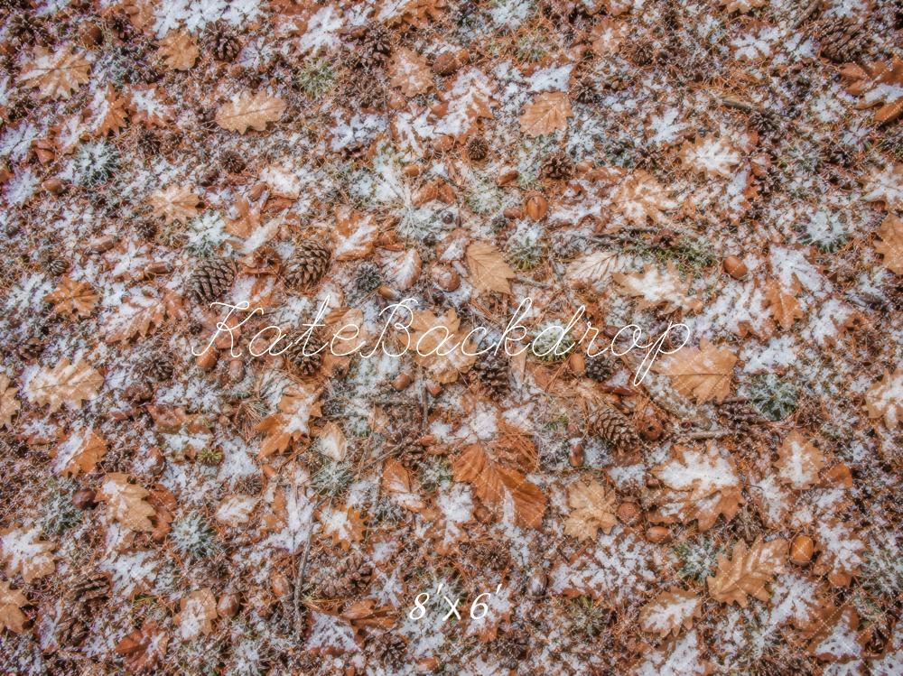 Kate Fall Leaves Pinecones Acorns Snow Floor Printed Backdrop Designed by Vertigo Productions
