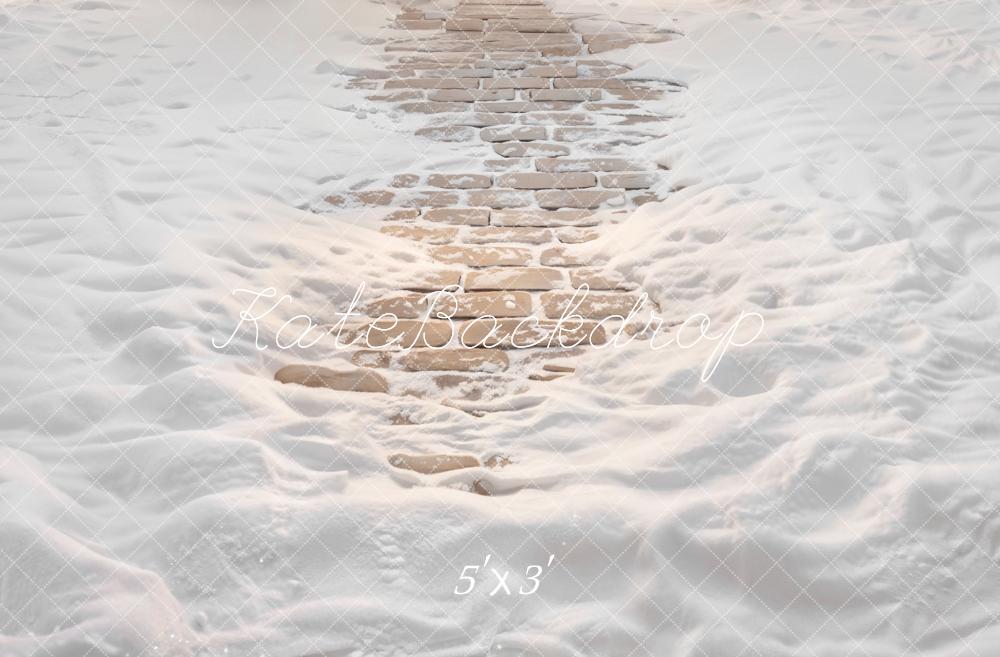 Kate Winter Snow Covered Cobblestone Path Printed Backdrop Designed by Emetselch