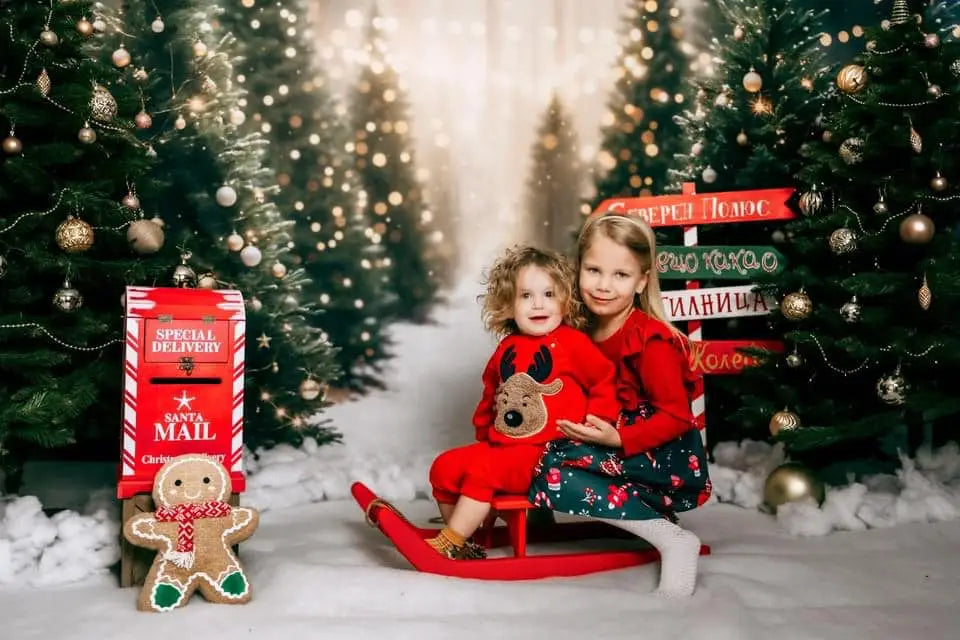 Fondo de Bosque Exterior de Navidad Designed by Emetselch