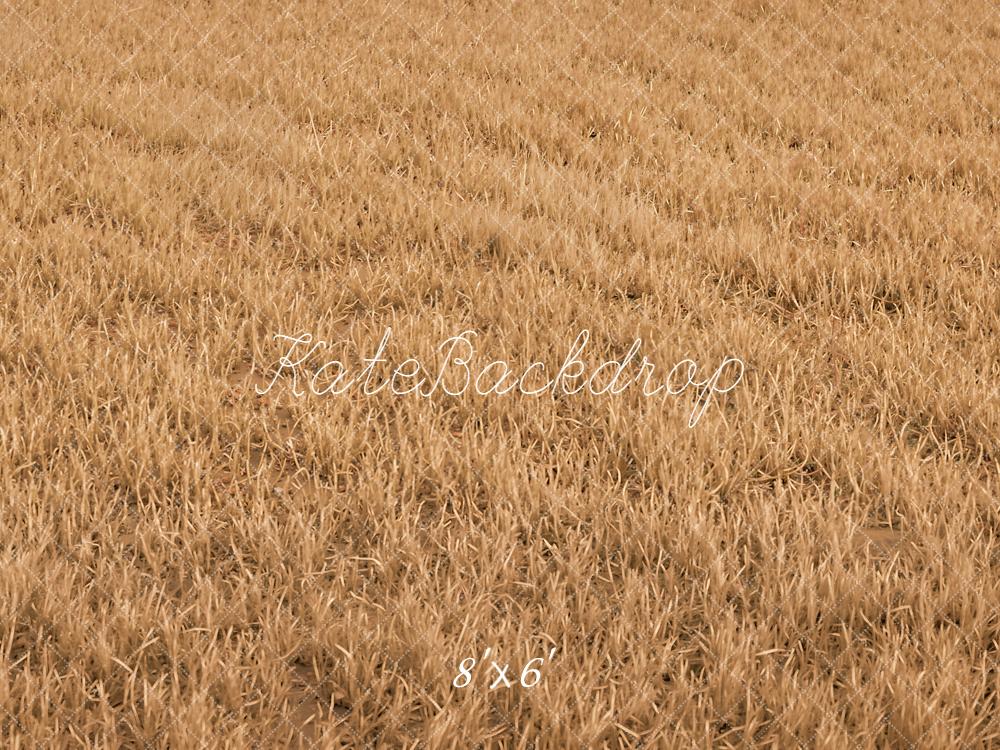 Kate Fall Withered Grass Field Floor Printed Backdrop Designed by Kate Image