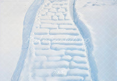 Winter Snowy Brick Path Floor Backdrop Designed by Emetselch