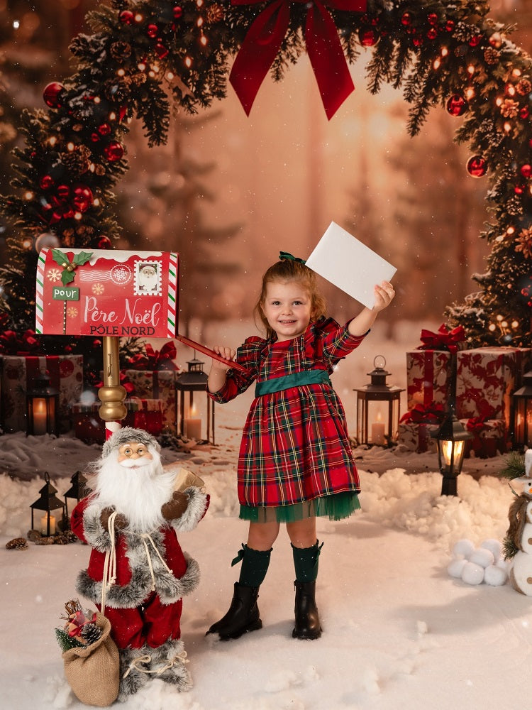 Kate Christmas Arch Bow Forest Sunlit Gifts Backdrop Designed by Emetselch