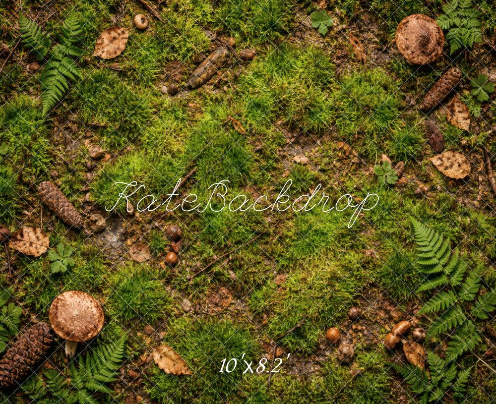 Kate Forest Moss Ferns Pinecones Mushrooms Floor Printed Backdrop Designed by Vertigo Productions