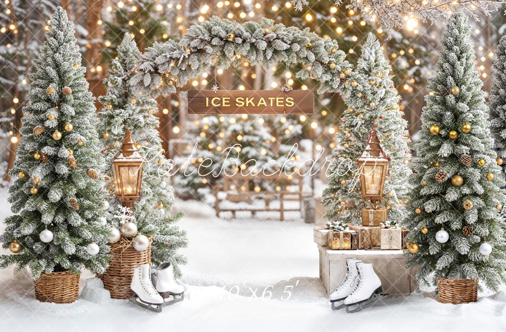 Kate Christmas Arch Snowy Trees Skates Lanterns Backdrop Designed by Emetselch