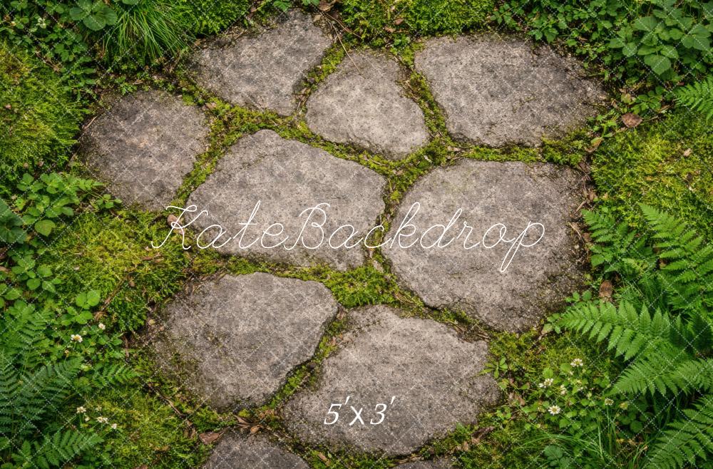 Kate Cobblestone Path With Ferns And Grass Floor Printed Backdrop Designed by Vertigo Productions
