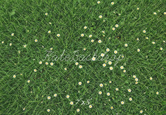 Kate Green Grass Daisy Flowers Floor Printed Backdrop Designed by Kate Image