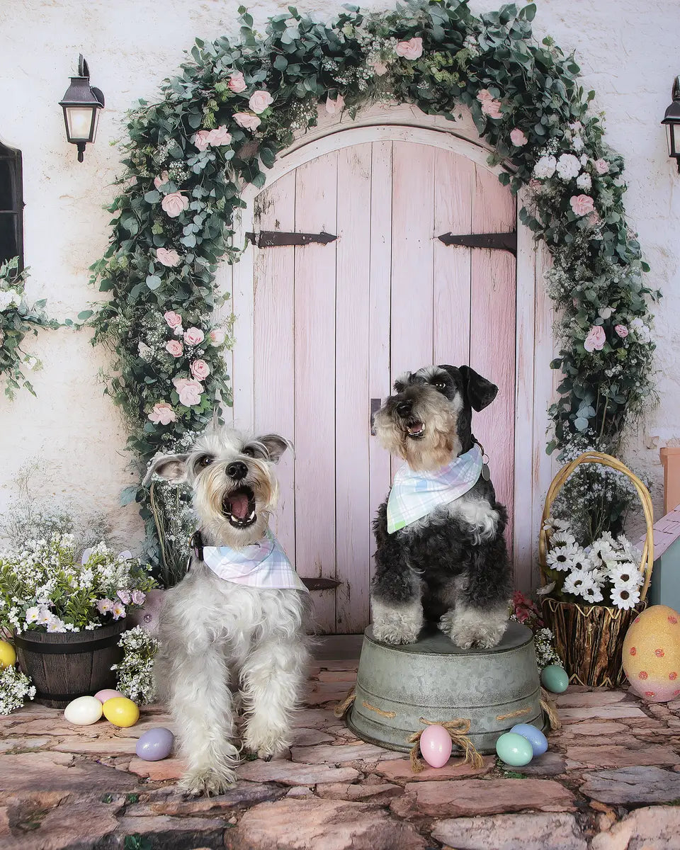 Kate Easter Bunny Floral Arch Pink Backdrop Designed by Patty Roberts
